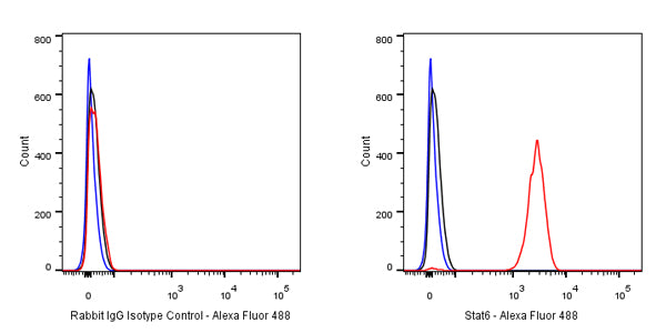 Rabbit mAb IgG Isotype Control (S-240-1)