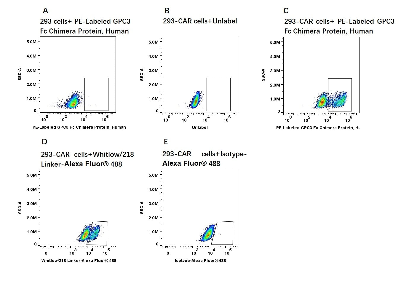 PE-Labeled GPC3 Fc Chimera Protein, Human
