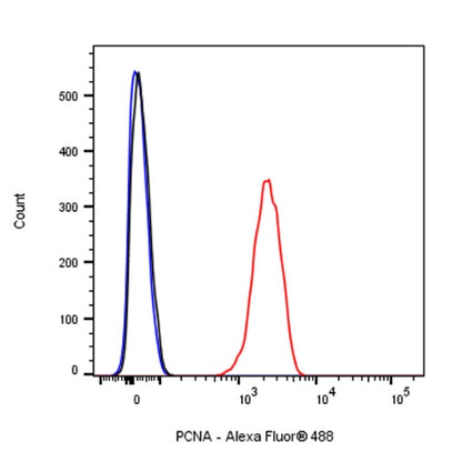 PCNA Recombinant Rabbit mAb (Alexa Fluor® 488 Conjugate) (SDT-297-116)