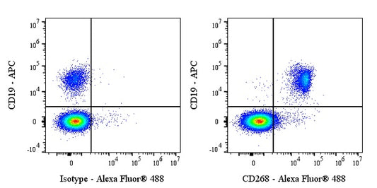 Mouse Anti-Human CD268 (BAFF Receptor) Antibody (11C1)