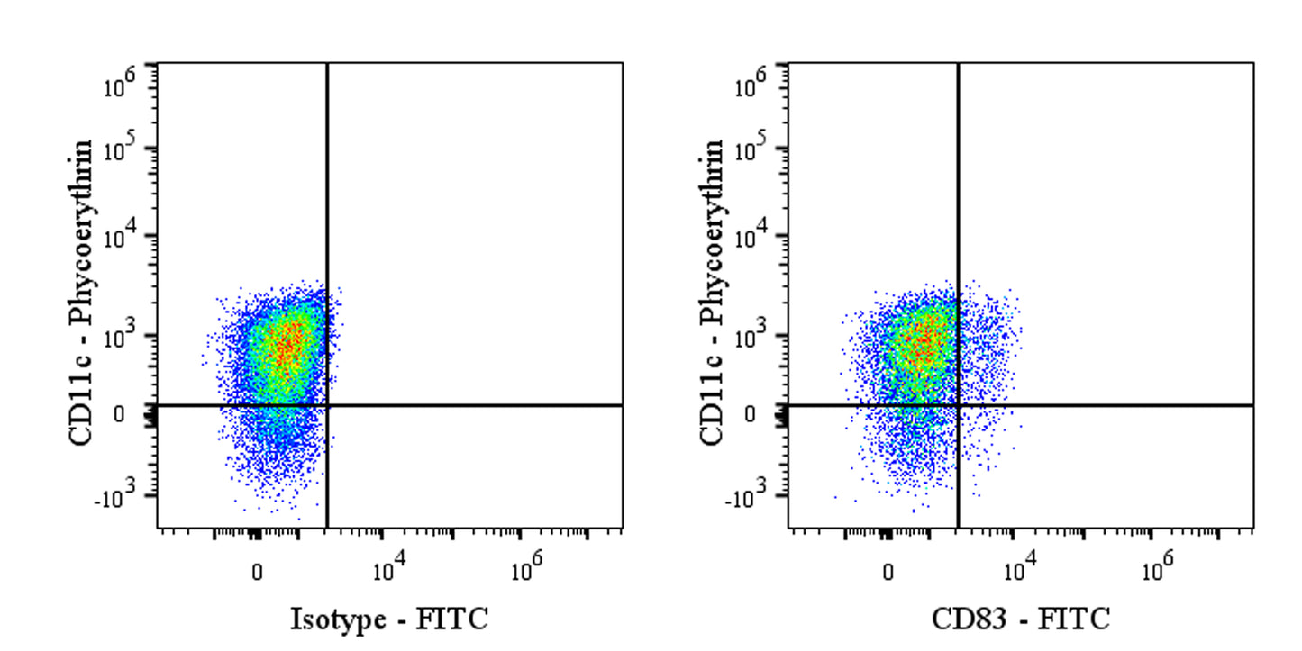 FITC Mouse Anti-Human CD83 Antibody (HB15e)