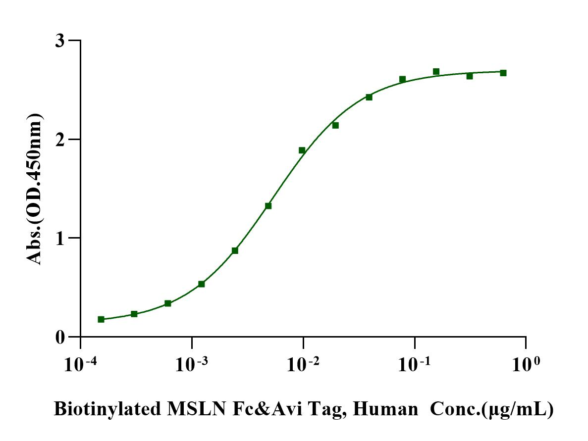 Biotinylated MSLN Fc&Avi Tag Protein, Human