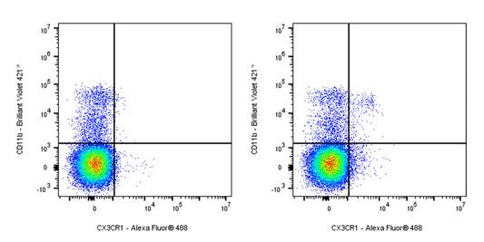 Alexa Fluor® 488 Mouse Anti-Mouse CX3CR1 Antibody (S-R597)