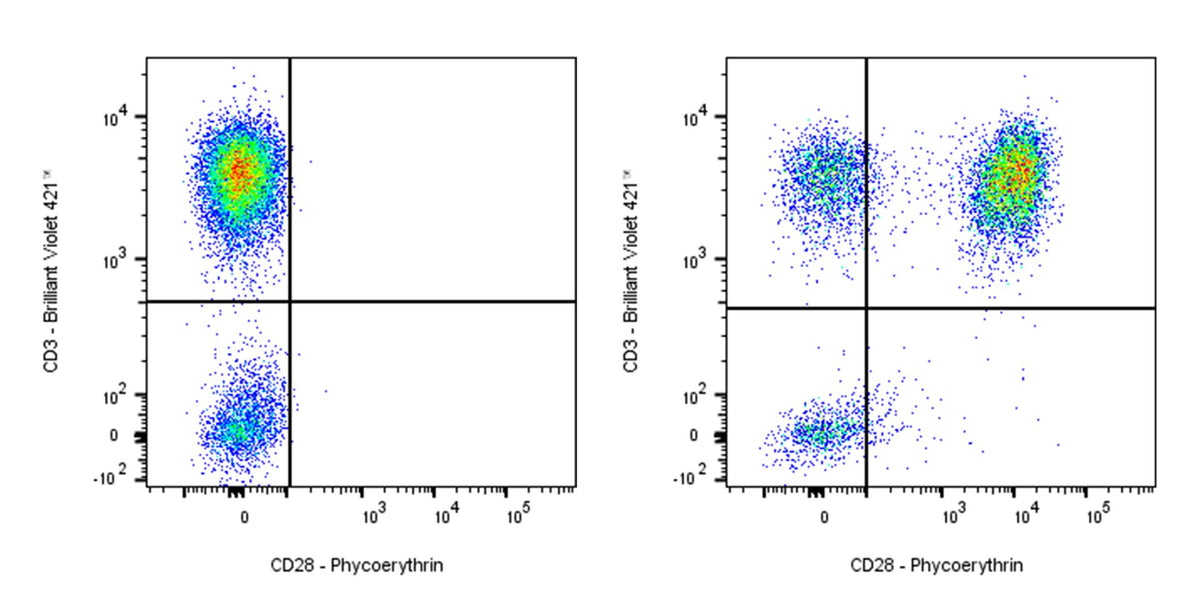 PE Mouse Anti-Human CD28 Antibody (9.3)