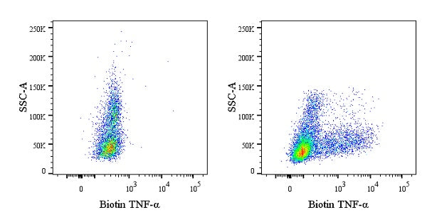 Biotin Mouse Anti-Human TNF-α Antibody (MAb11)