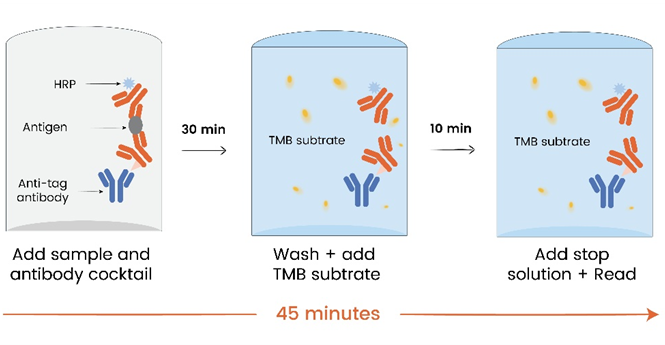 Human IFN-γ OneStep OptiQuant ELISA Kit