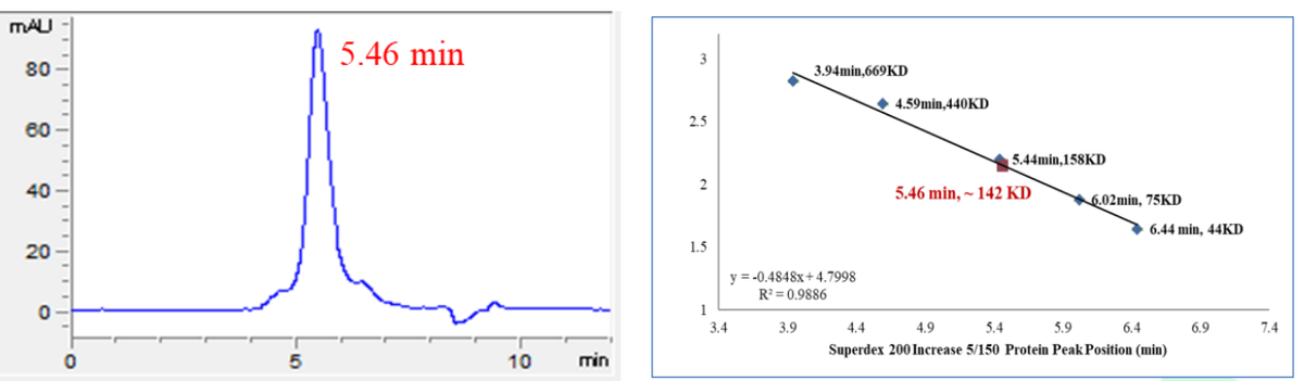 SRPK1 Protein, Human