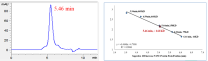 SRPK1 Protein, Human