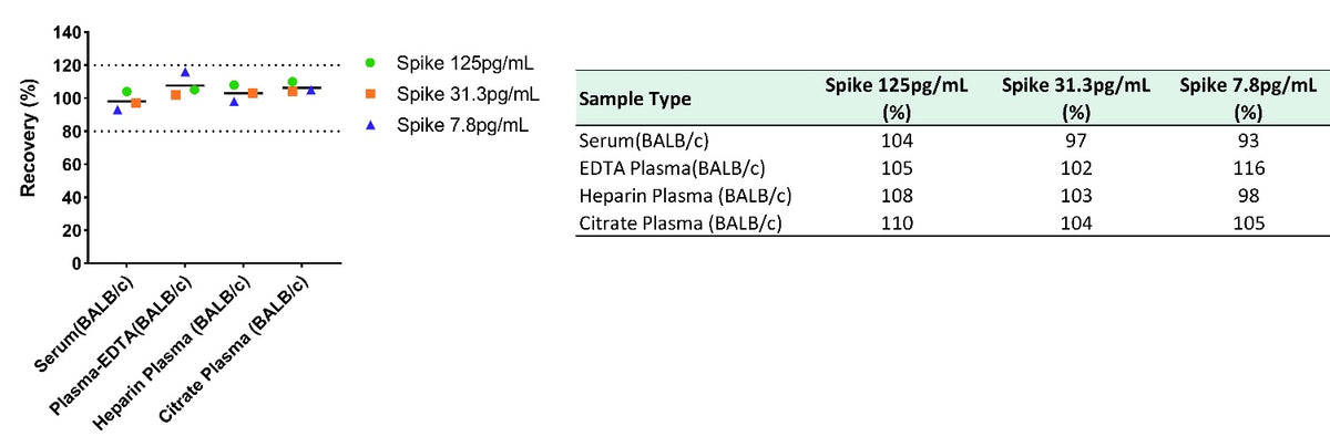 Mouse CCL22/MDC Serum & Plasma OneStep ELISA Kit