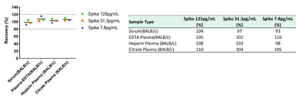 Mouse CCL22/MDC Serum & Plasma OneStep ELISA Kit