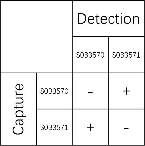 HPV16 E7 Recombinant Rabbit mAb (SDT-1377-10)