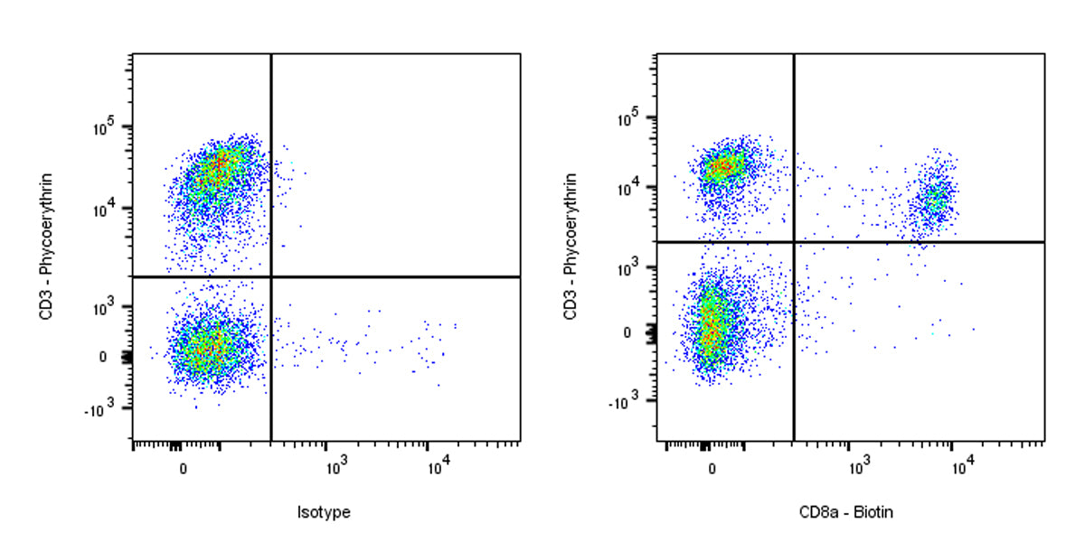 Biotin Rat Anti-Mouse CD8α Antibody (53-6.7)