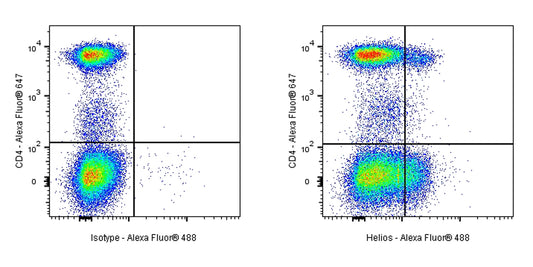 Armenian hamster Anti-Mouse/Human Helios Antibody (22F6)