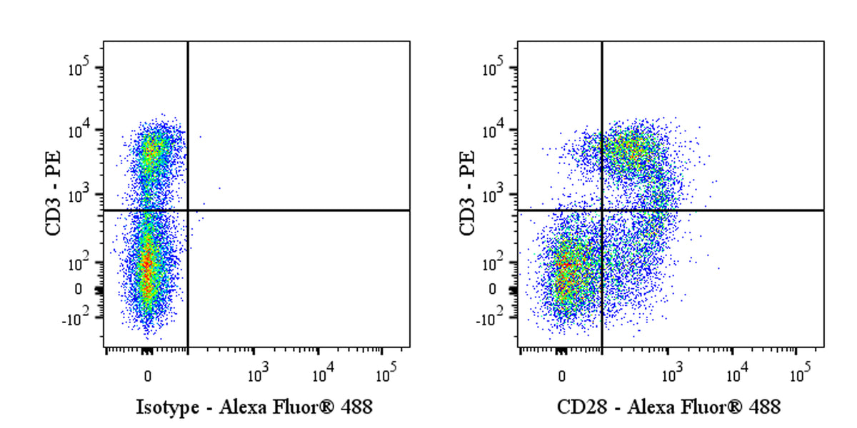 Alexa Fluor® 488 Mouse Anti-Rat CD28 Antibody (JJ319)