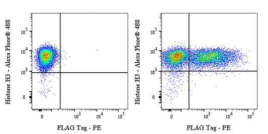 FLAG Tag Recombinant Rabbit mAb (PE Conjugate) (S-SC044)