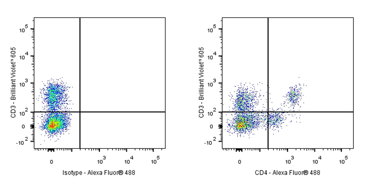 Mouse Anti-Rat CD4 Antibody (W3/25)
