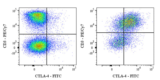 FITC Armenian hamster Anti-Mouse CTLA-4 (CD152) Antibody (UC10-4F10-11)