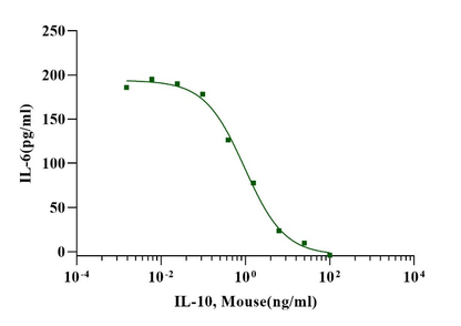 IL-10 Protein, Mouse