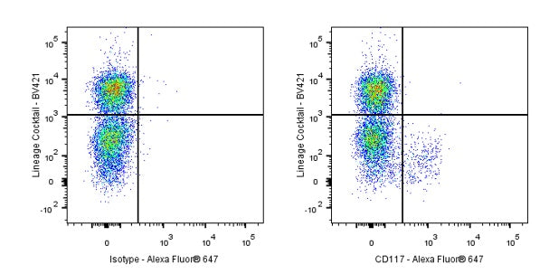 Invivo anti-mouse c-Kit (CD117) Recombinant mAb
