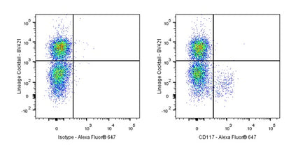 Invivo anti-mouse c-Kit (CD117) Recombinant mAb