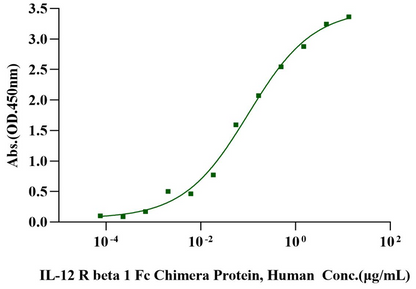 IL-12 R beta 1 Fc Chimera Protein, Human