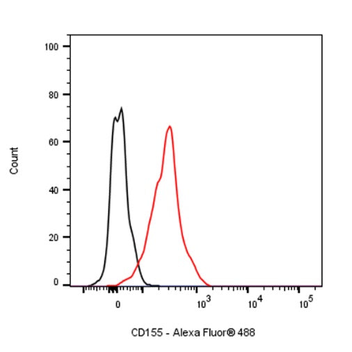 Rat Anti-Mouse CD155 Antibody (TX56)