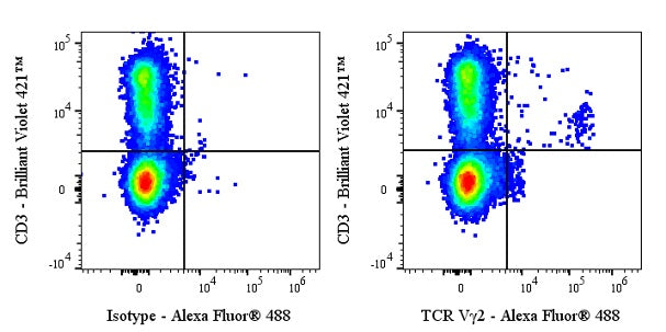 Invivo anti-Mouse TCR Vγ2 Recombinant mAb