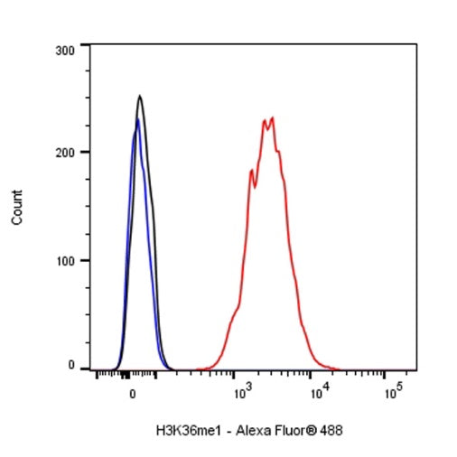 Histone H3 (mono methyl K36) Recombinant Rabbit mAb (S-R396)