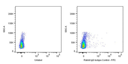 FITC Rabbit IgG Isotype Control Antibody (S-R058)