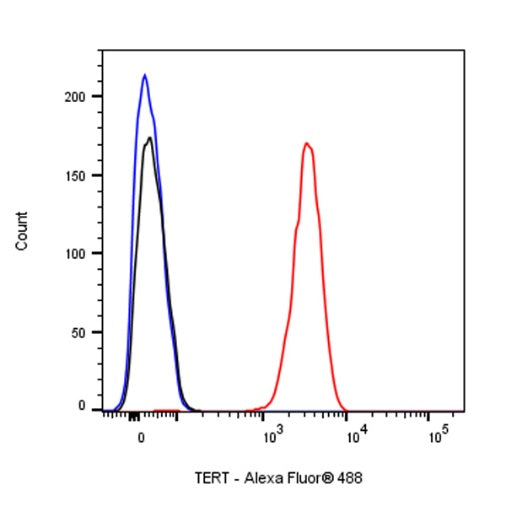 TERT Recombinant Rabbit mAb (S-1246-143)