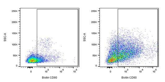Biotin Armenian hamster Anti-Mouse CD80 Antibody (16-10A1)