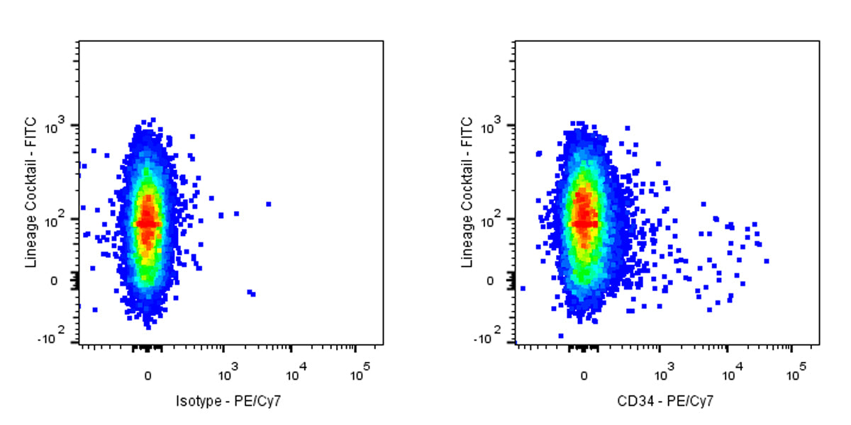 PE-Cy7 Mouse Anti-Human CD34 Antibody (S-2802)