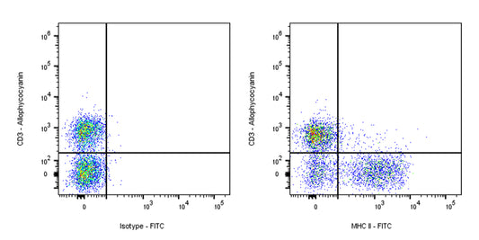 FITC Mouse Anti-Rat MHC II (RT1D) Antibody (OX-17)