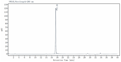IL-12 Protein, Human