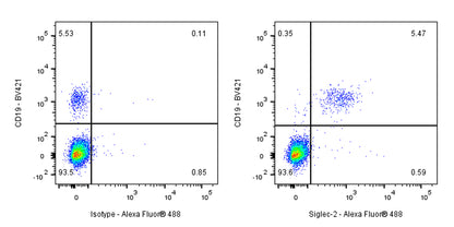 Siglec-2/CD22 Mouse mAb (S-565-1)