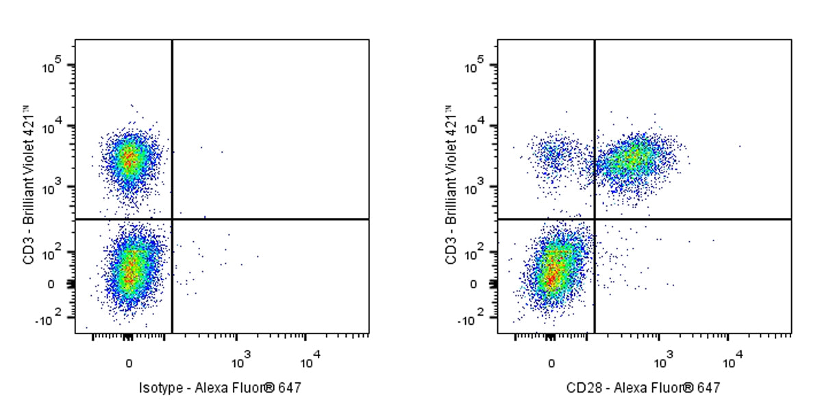 Alexa Fluor® 647 Mouse Anti-Human CD28 Antibody (CD28.2)