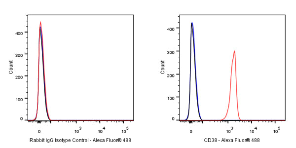 Alexa Fluor® 488 Rabbit IgG Isotype Control Antibody (S-R058)