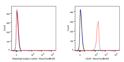 Alexa Fluor® 488 Rabbit IgG Isotype Control Antibody (S-R058)