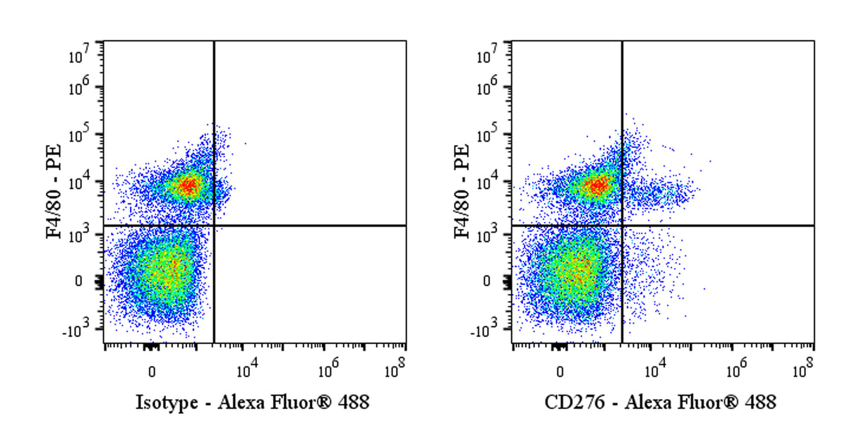 Alexa Fluor® 488 Rat Anti-Mouse CD276 Antibody (MJ18)