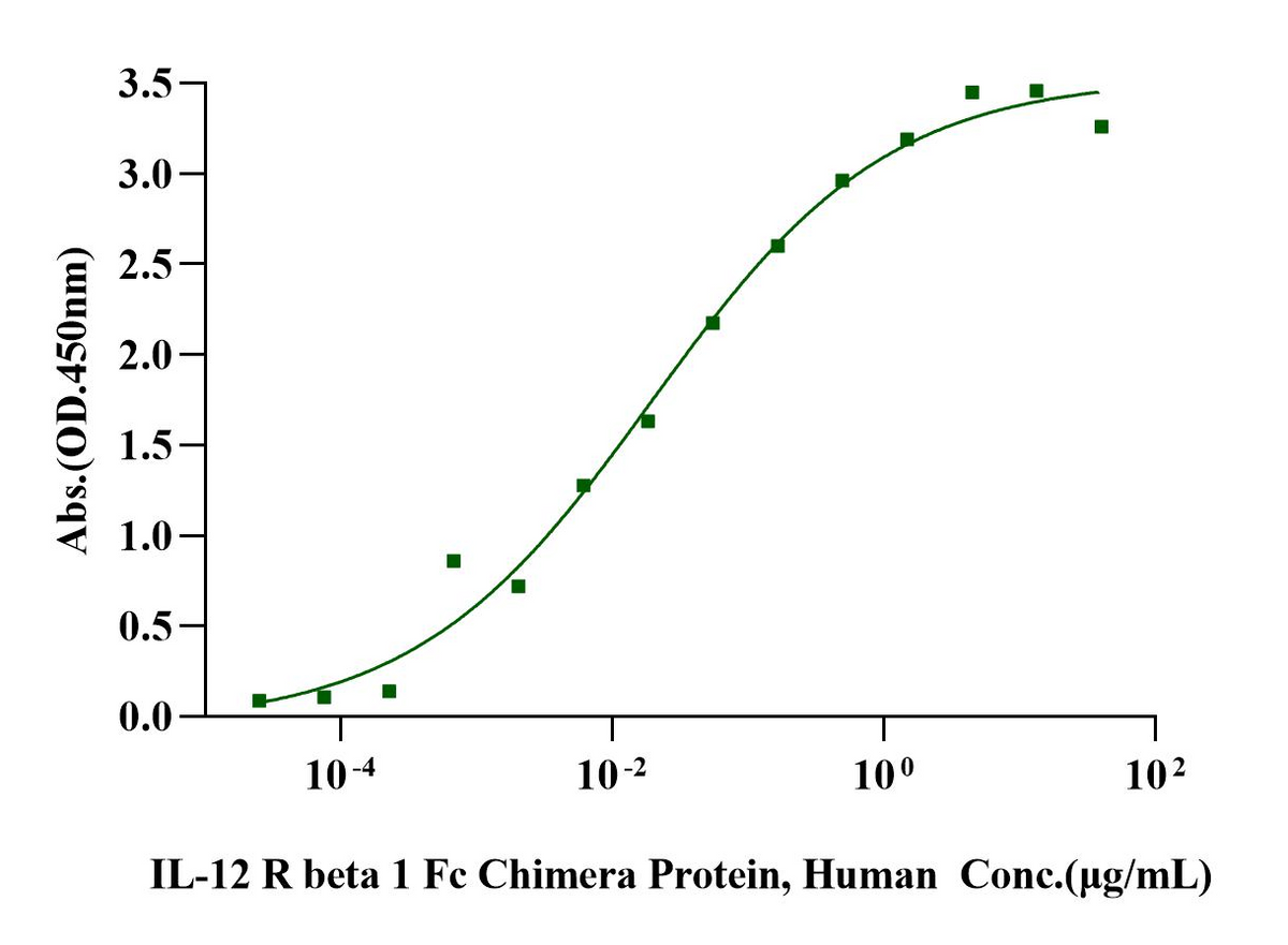 IL-12 R beta 1 Fc Chimera Protein, Human