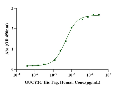 GUCY2C His Tag Protein, Human