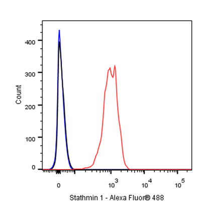 Stathmin 1 Recombinant Rabbit mAb (SDT-383-4)
