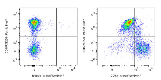 Alexa Fluor® 647 Rat Anti-Mouse CD43 Antibody (S-R588)