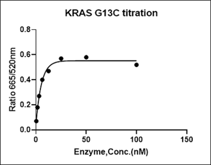 KRAS [G13C] Avi&His Tag Protein, Human(Load GDP/GMPPNP)