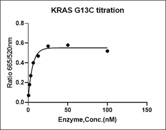 KRAS [G13C] Avi&His Tag Protein, Human(Load GDP/GMPPNP)