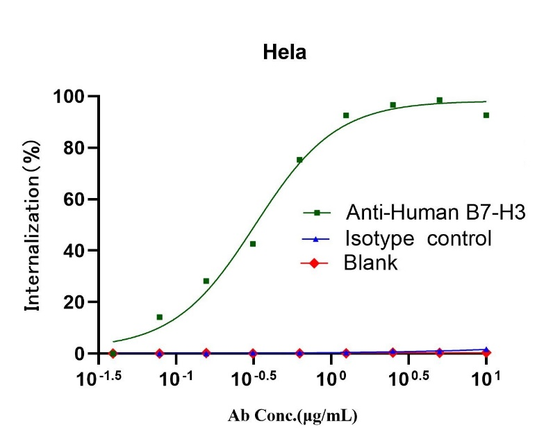 pH-sensitive IgG labeling reagents Max