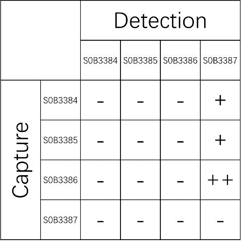 GH Recombinant Rabbit mAb (SDT-234-221)