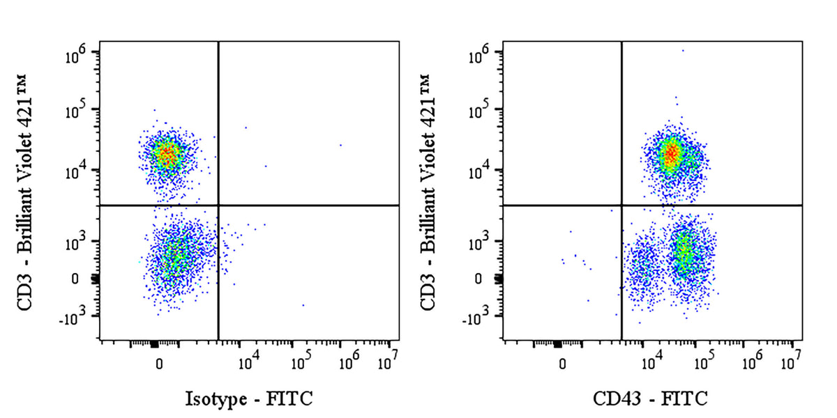 FITC Rabbit Anti-Human CD43 Antibody (S-R101)