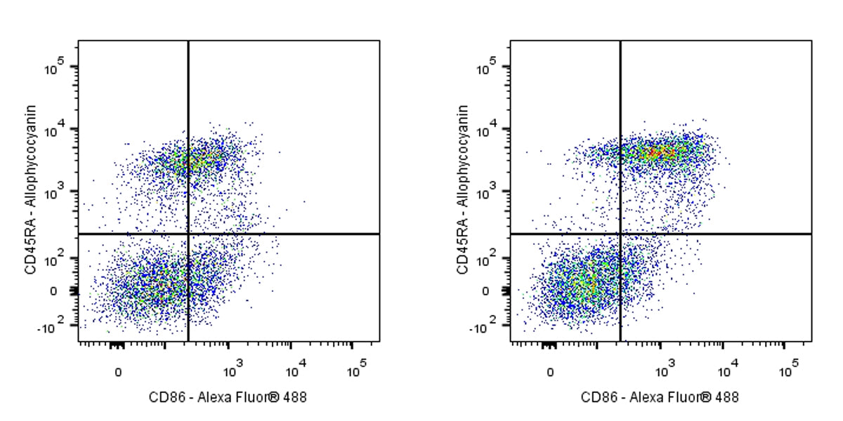 Mouse Anti-Rat CD86 Antibody (24F)