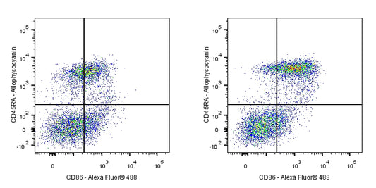 Mouse Anti-Rat CD86 Antibody (24F)